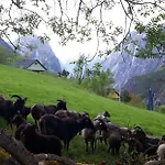 Fjord Og Fjellhytter אכסניה סטאלהיים