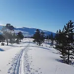 Fjord Og Fjellhytter אכסניה