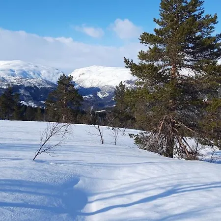 Chata Fjord Og Fjellhytter Stalheim
