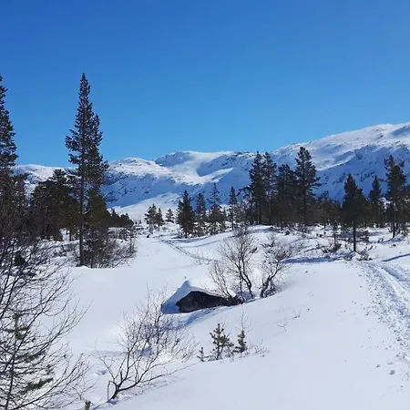 Fjord Og Fjellhytter *
