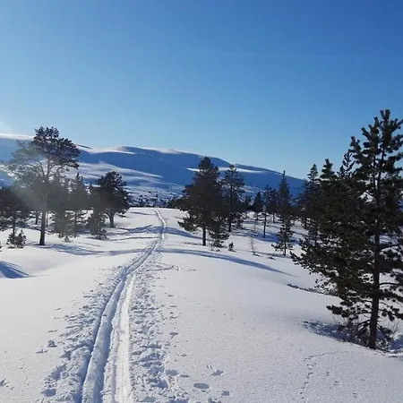 Fjord Og Fjellhytter Chata