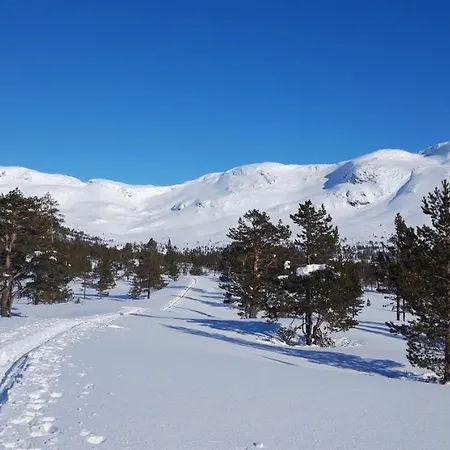 Fjord Og Fjellhytter * Stalheim