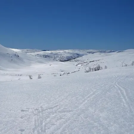 Chata Fjord Og Fjellhytter Stalheim