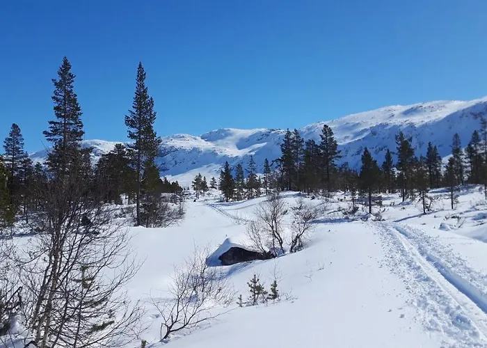 Fjord Og Fjellhytter *