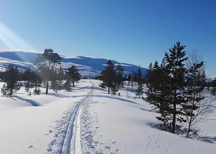 Fjord Og Fjellhytter Lodge