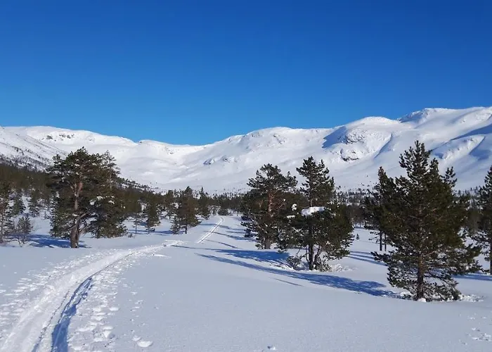 Fjord Og Fjellhytter * Stalheim