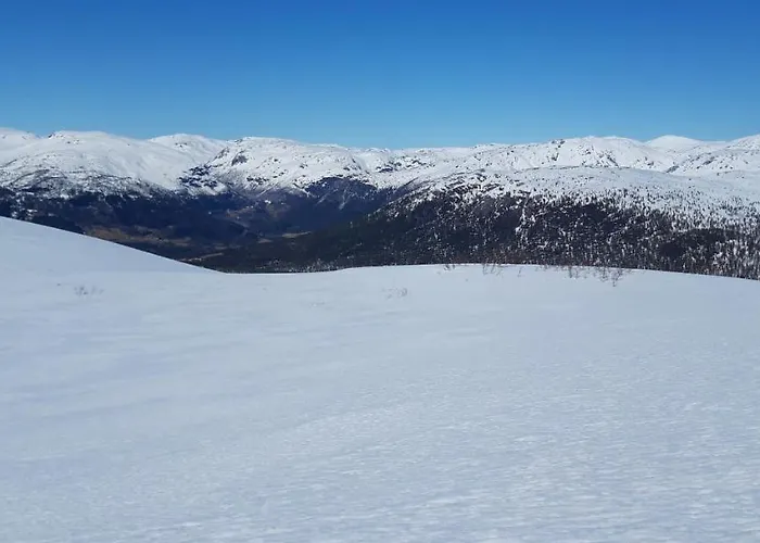 Lodge Fjord Og Fjellhytter *