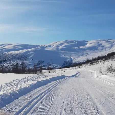 Fjord Og Fjellhytter * Stalheim
